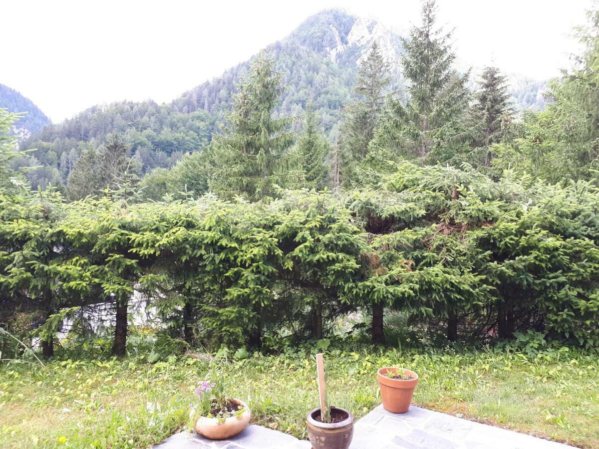 Holiday House Jasna ครานสกา โกรา ภายนอก รูปภาพ
